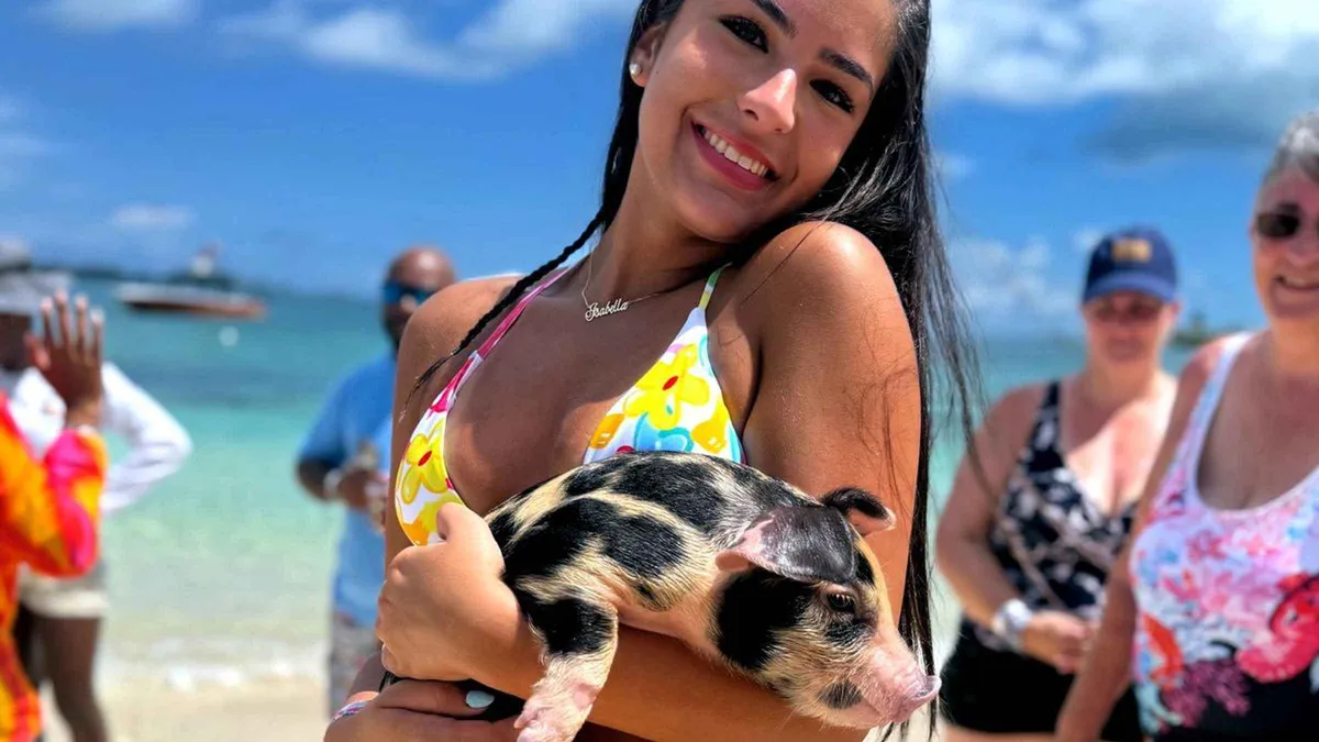 Guest feeding a pig in knee-deep water at the beach club stop of a swimming with pigs Nassau tour, Bahamas